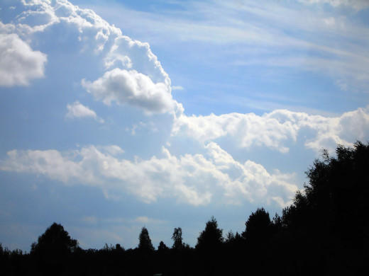 30598 (a): :1600x1200